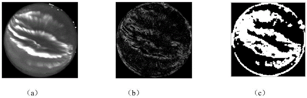 Optimized convolution automatic encoding network-based auroral image sorting method