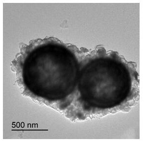 Preparation method and application of CeO2-xSx/CdZnS/ZnO nano material