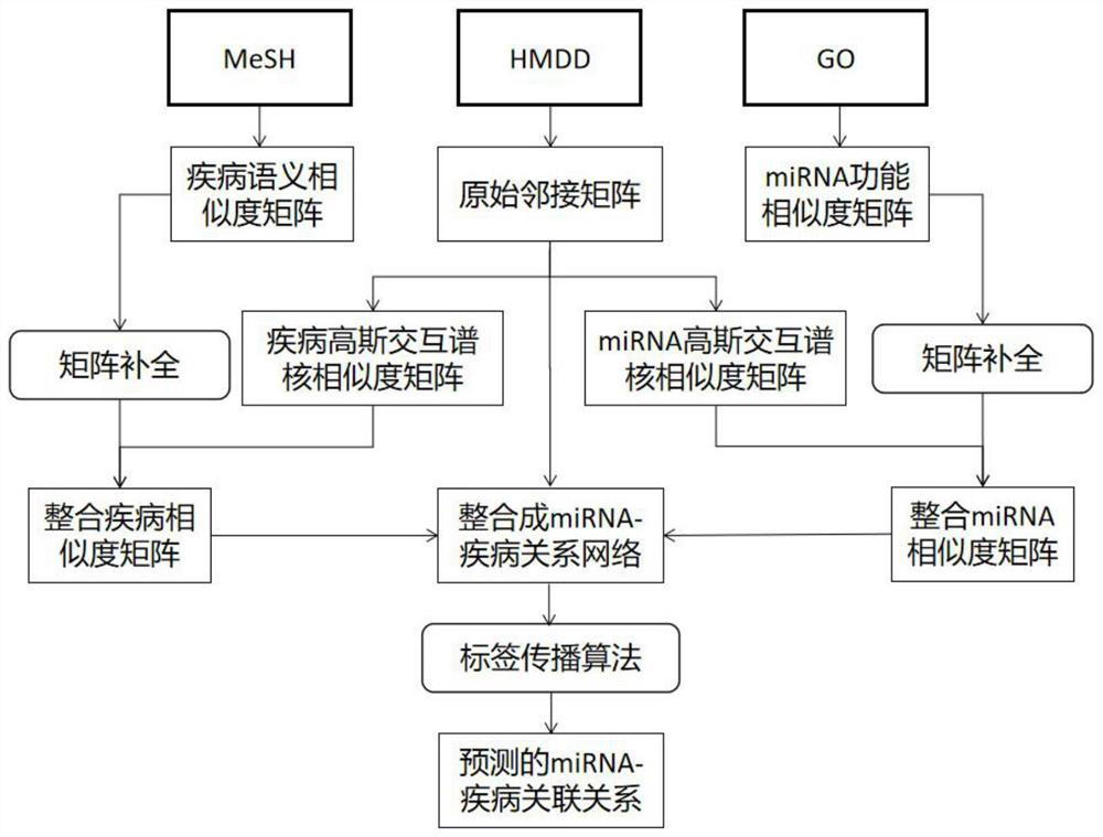 MiRNA-disease incidence relation prediction method based on multi-source data fusion and matrix completion