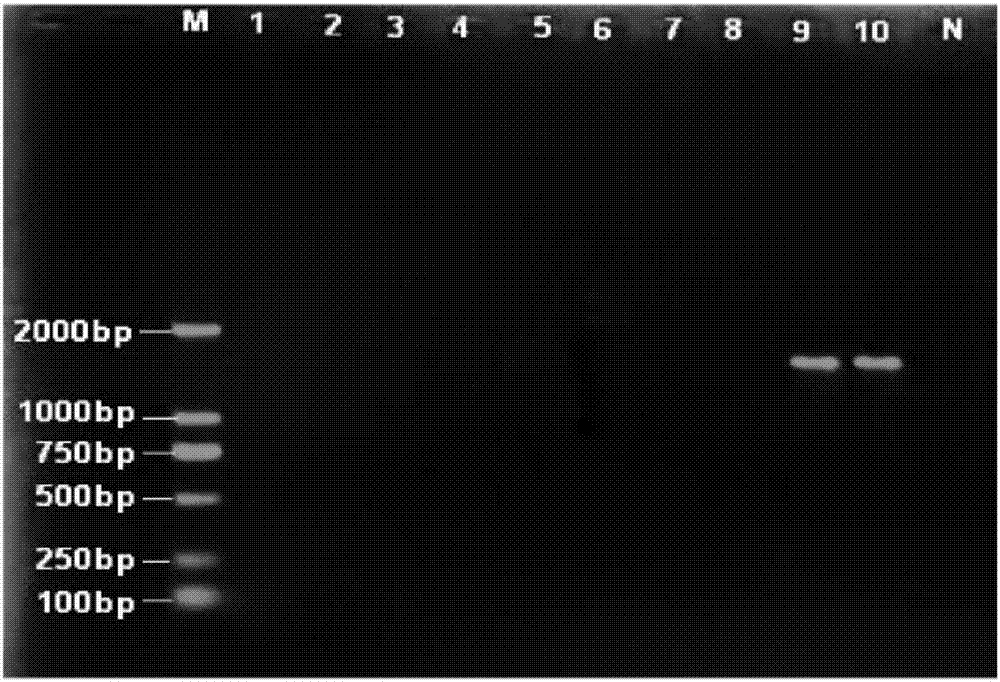 Soil DNA extraction method for analyzing microbial community structure of polycyclic aromatic hydrocarbon polluted land