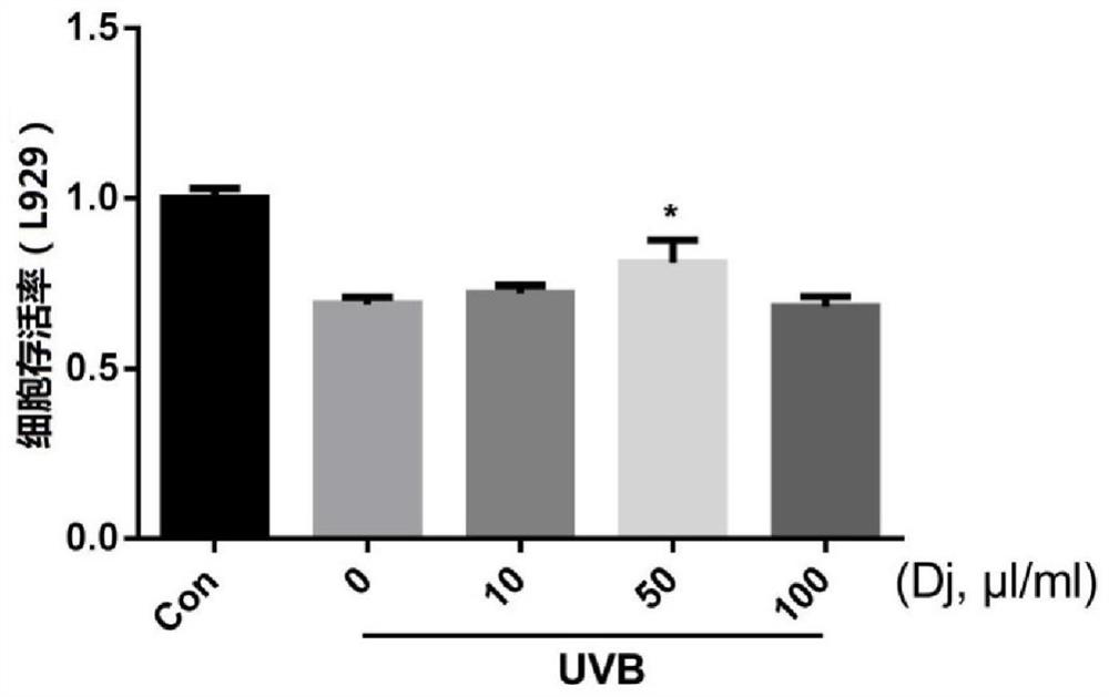 Use of plateau Rhododendron extract for protection against UV damage and sports care