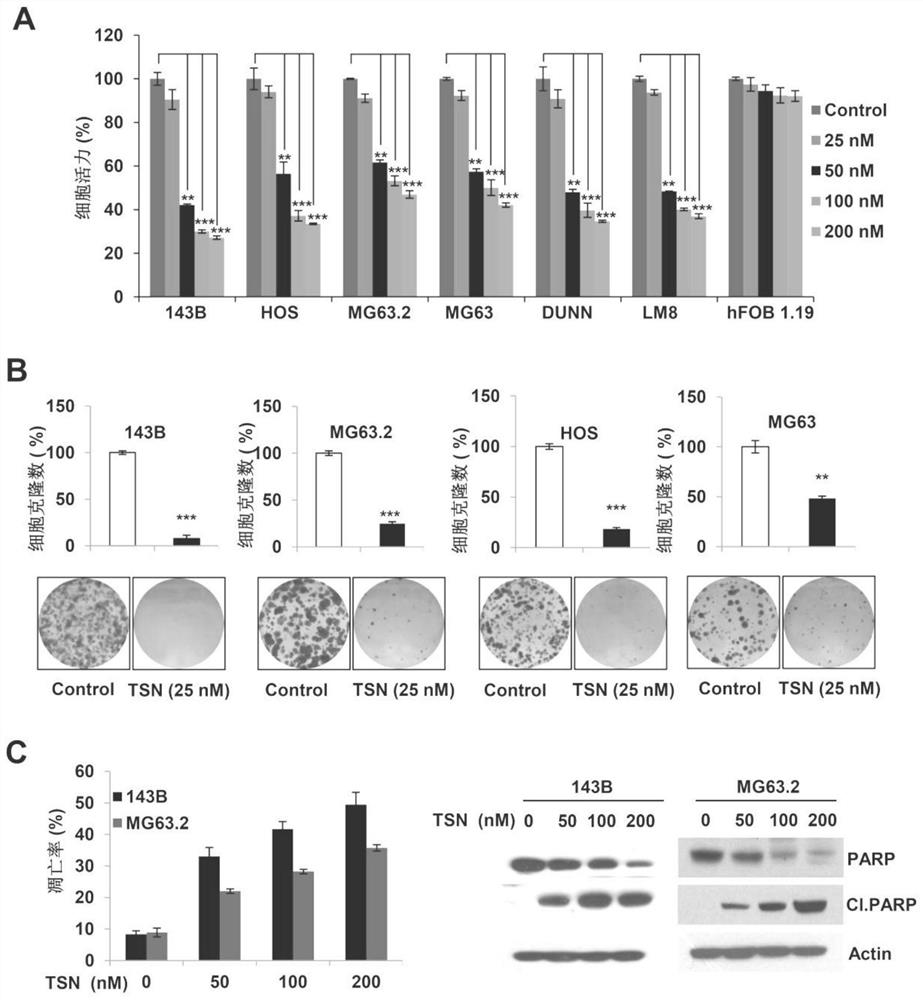 Toosendanin, a traditional Chinese medicine monomer, as a stat3 inhibitor and its application in the preparation of anti-osteosarcoma drugs