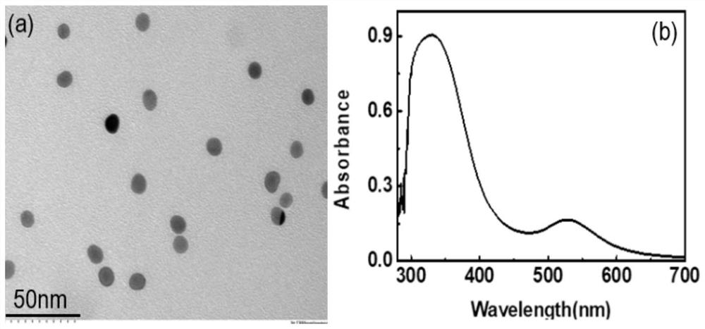 Nano gold-protoporphyrin zinc (ii) highly sensitive detection h  <sub>2</sub> o  <sub>2</sub> Construction and Application of Electrochemical Sensors