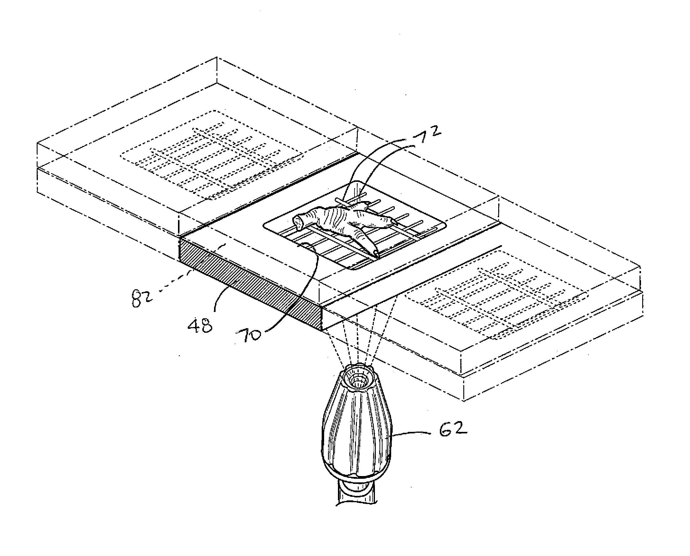 Device for Removing Material from Feet of Poultry