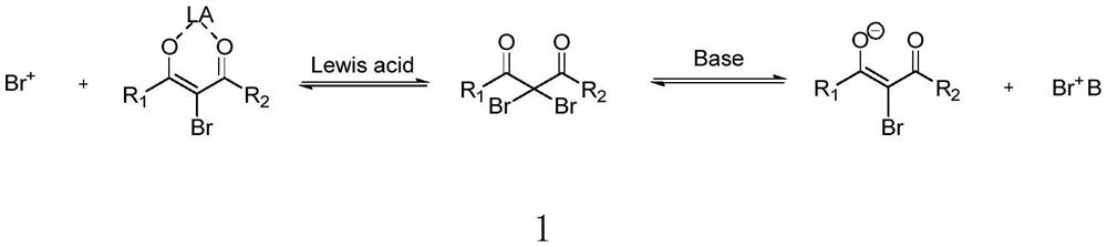 A kind of chiral synthesis method of gamma-nitrophenol compound