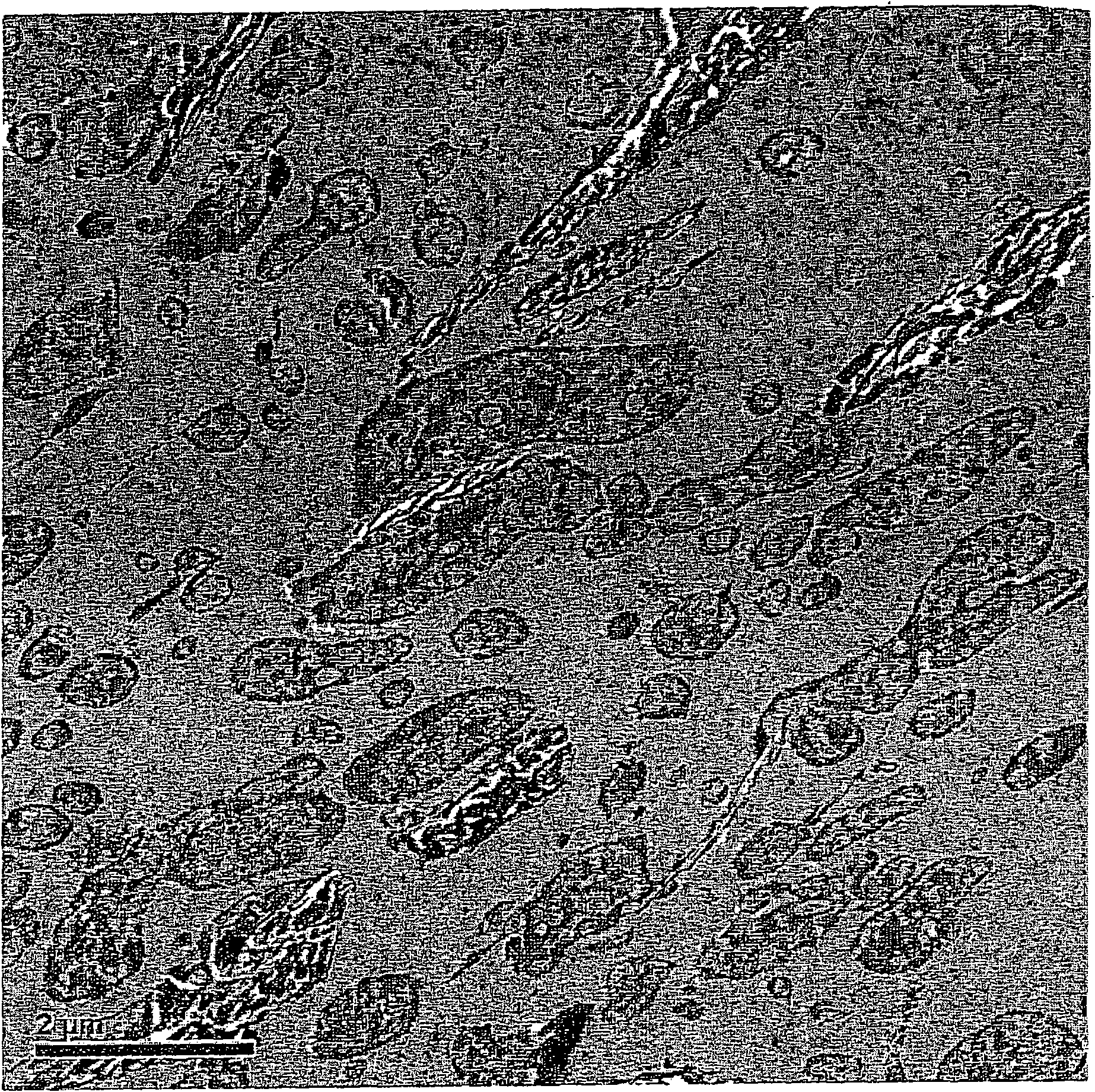 Polyolefin composition comprising silicon-containing filler