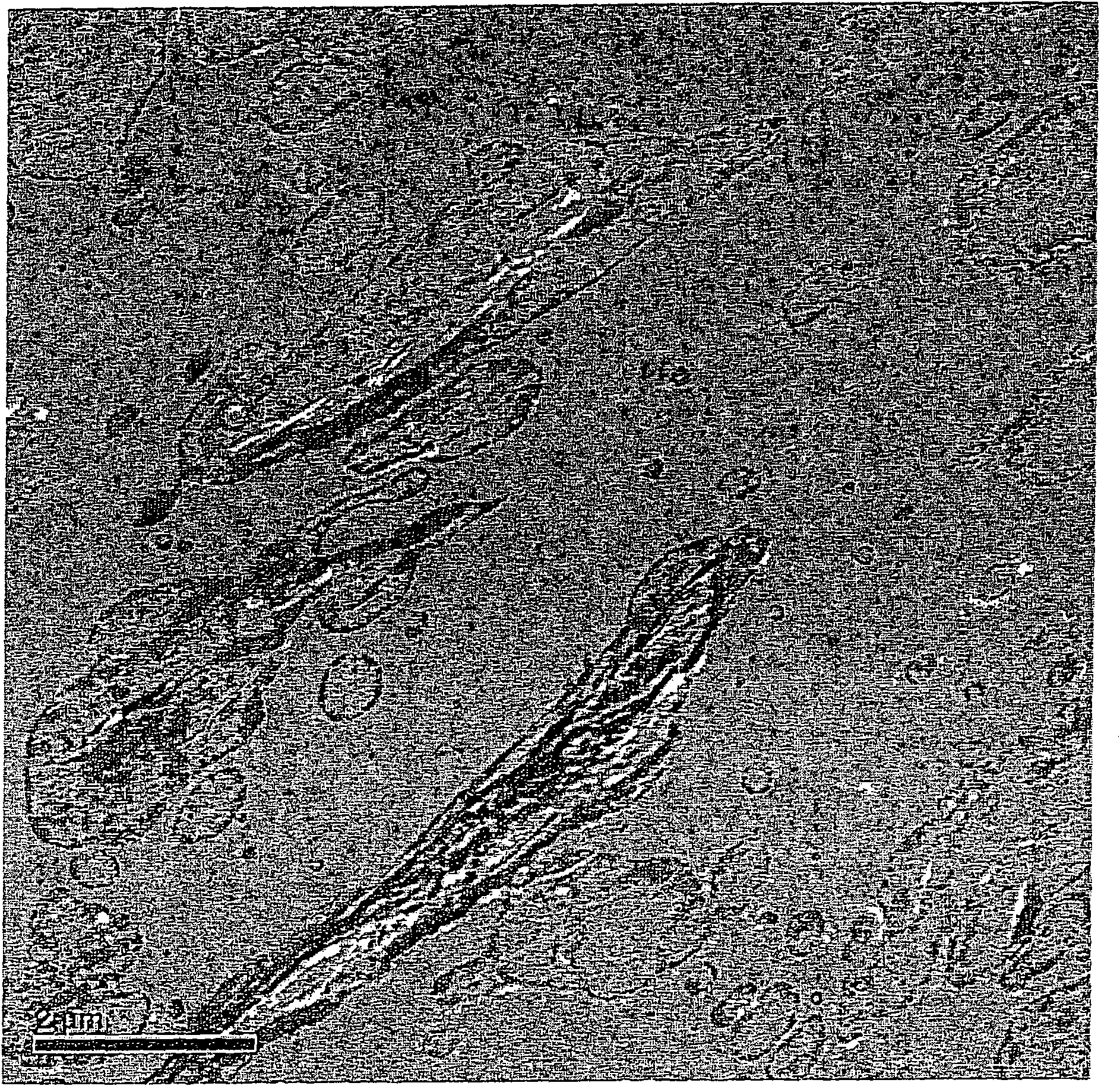 Polyolefin composition comprising silicon-containing filler