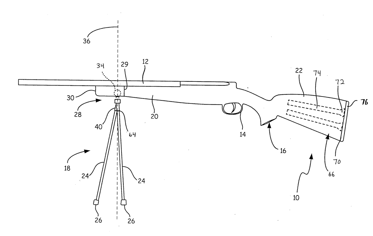 Firearm stock with support