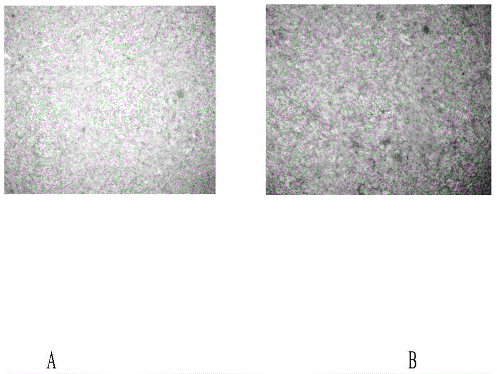 Application of Herba Ecliptae extract to preparation of anti-osteoporosis multi-target medicines or healthcare products