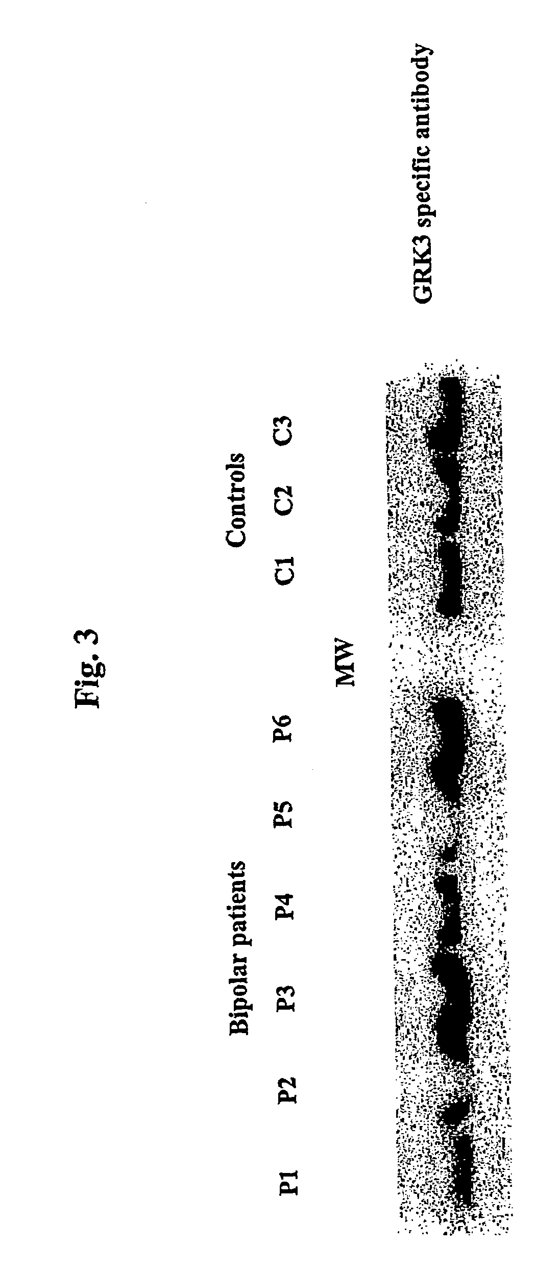 Methods for diagnosis and treatment of psychiatric disorders