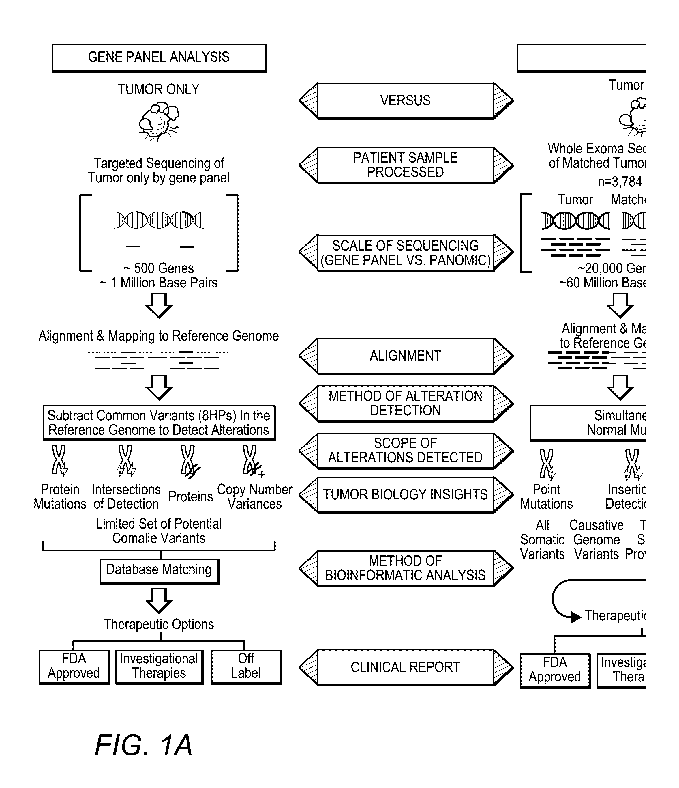 High Throughput Patient Genomic Sequencing And Clinical Reporting Systems