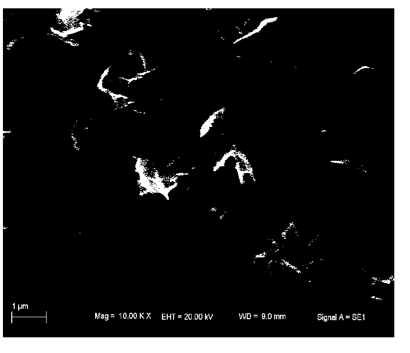 Organic fluorine oxosilane nanometer freezing sticky resistant coating and preparation process thereof