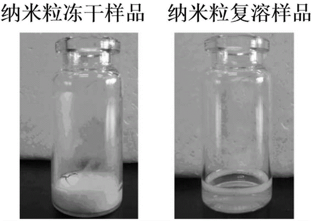 Preparation method of tinib drug alhumin nano preparation used for injection