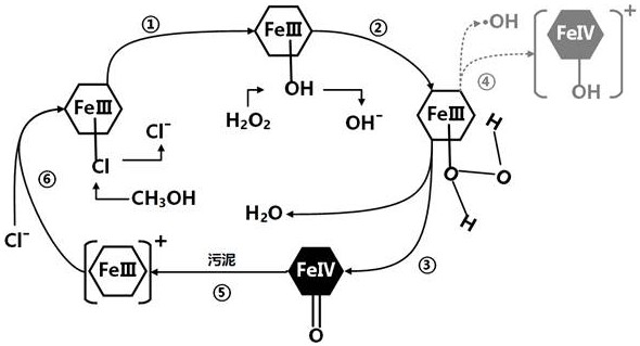 Sludge pretreatment method based on sulfo-porphyrin iron catalyst Fenton-like system