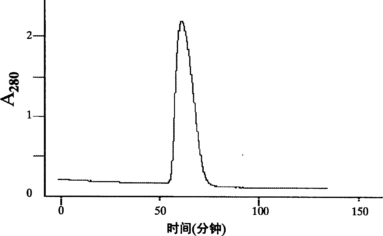 Method for constructing, expressing and purifying human recombination factor and application