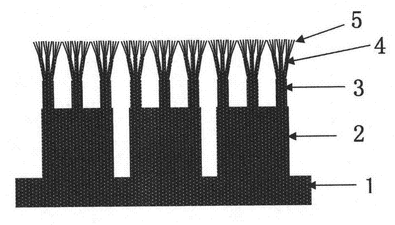 Array with cross-scale biomimetic micro-nano branched structure and preparation method thereof