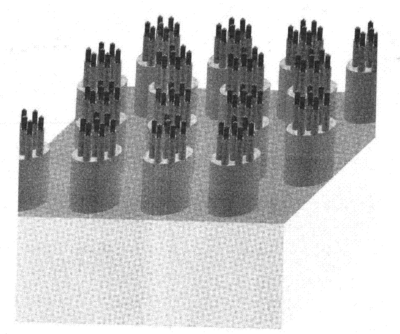 Array with cross-scale biomimetic micro-nano branched structure and preparation method thereof