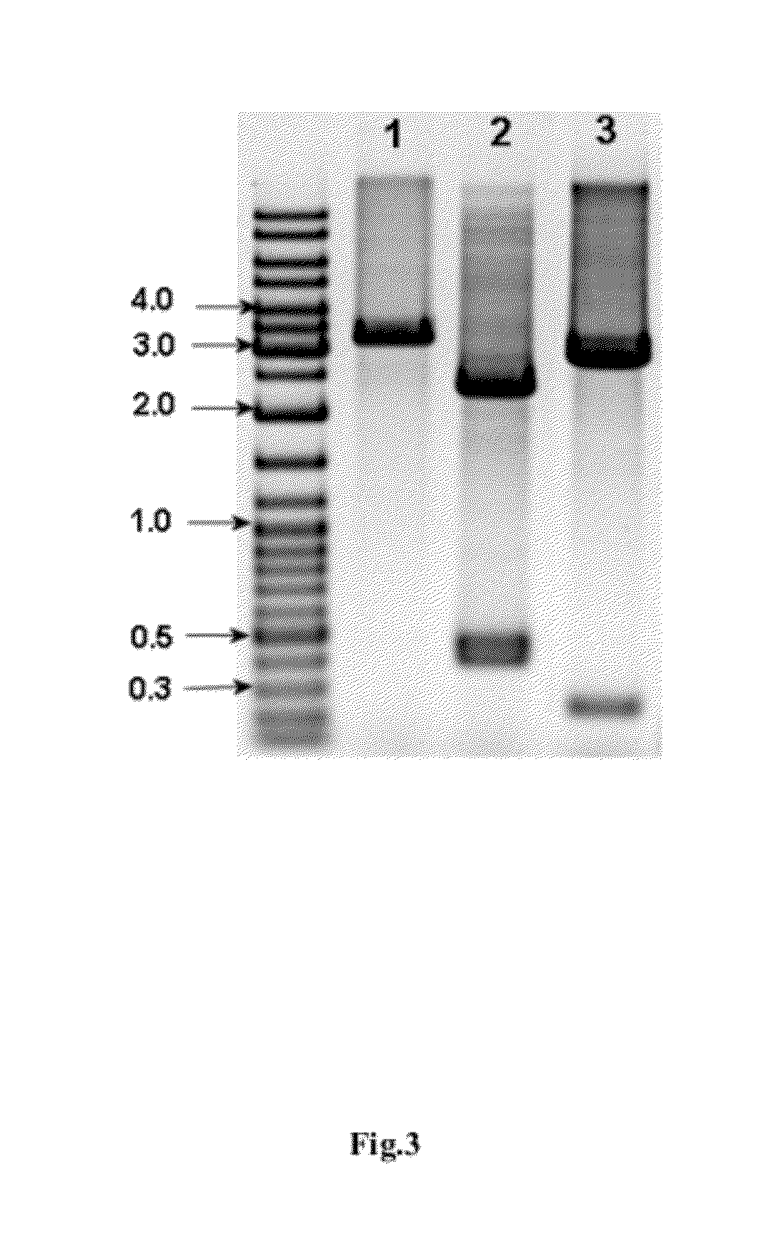 Method for producing interferon alpha 5