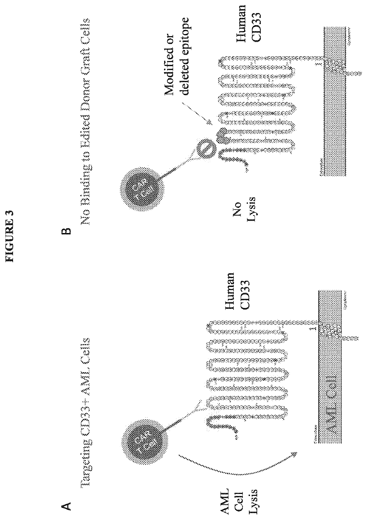 Compositions and methods for inhibition of lineage specific proteins