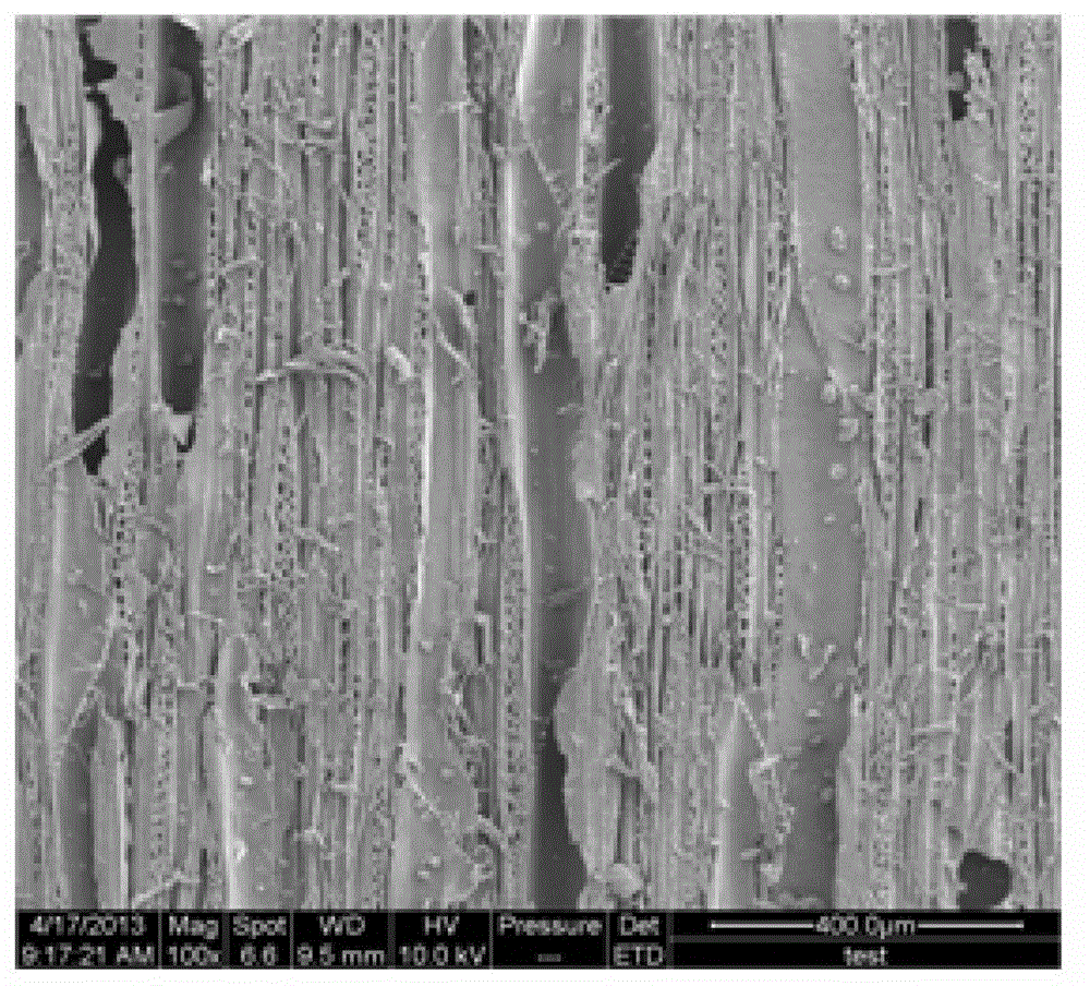 Environment-friendly wood veneer dyeing method