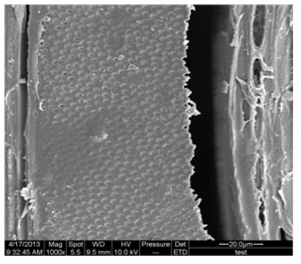 Environment-friendly wood veneer dyeing method