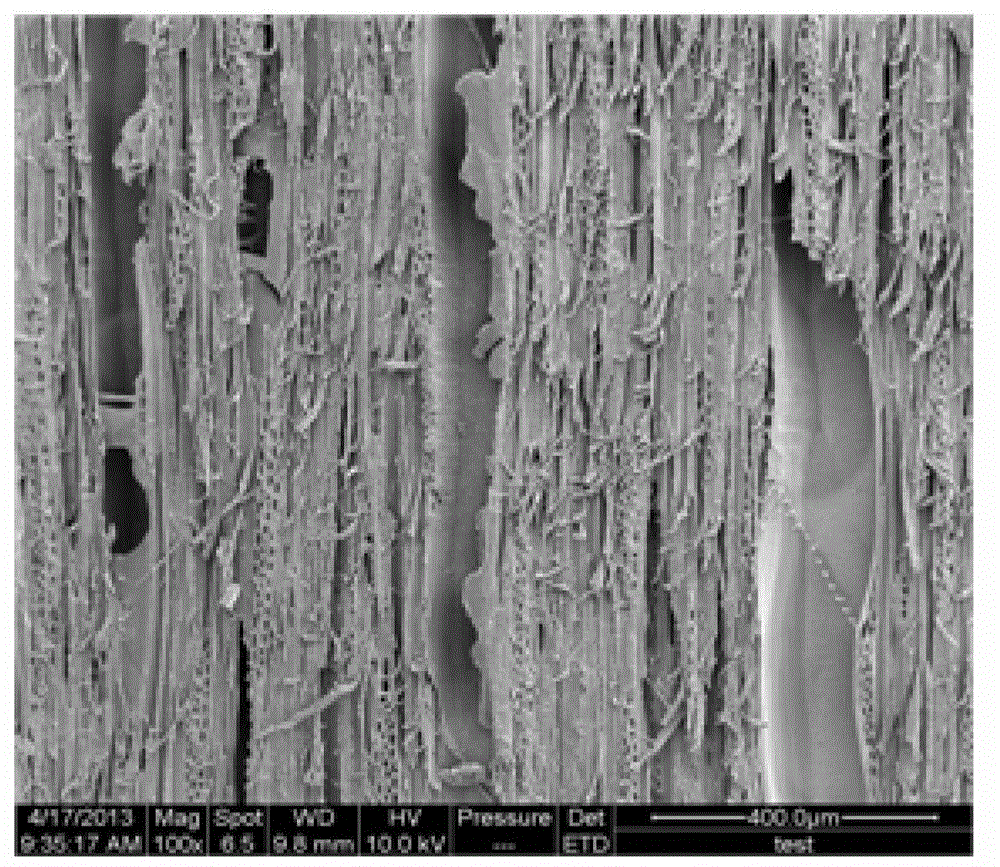 Environment-friendly wood veneer dyeing method