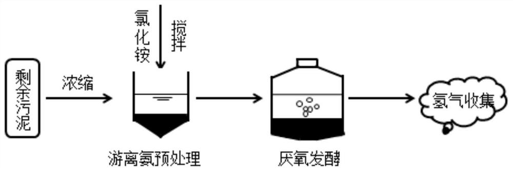 A pretreatment method for improving the hydrogen production efficiency of anaerobic fermentation of excess activated sludge