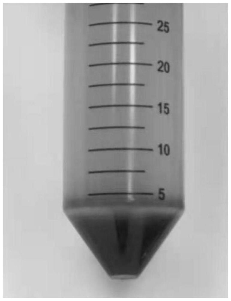 Gelatin hydrogel-based method for immobilizing diacetylchitobiose deacetylase