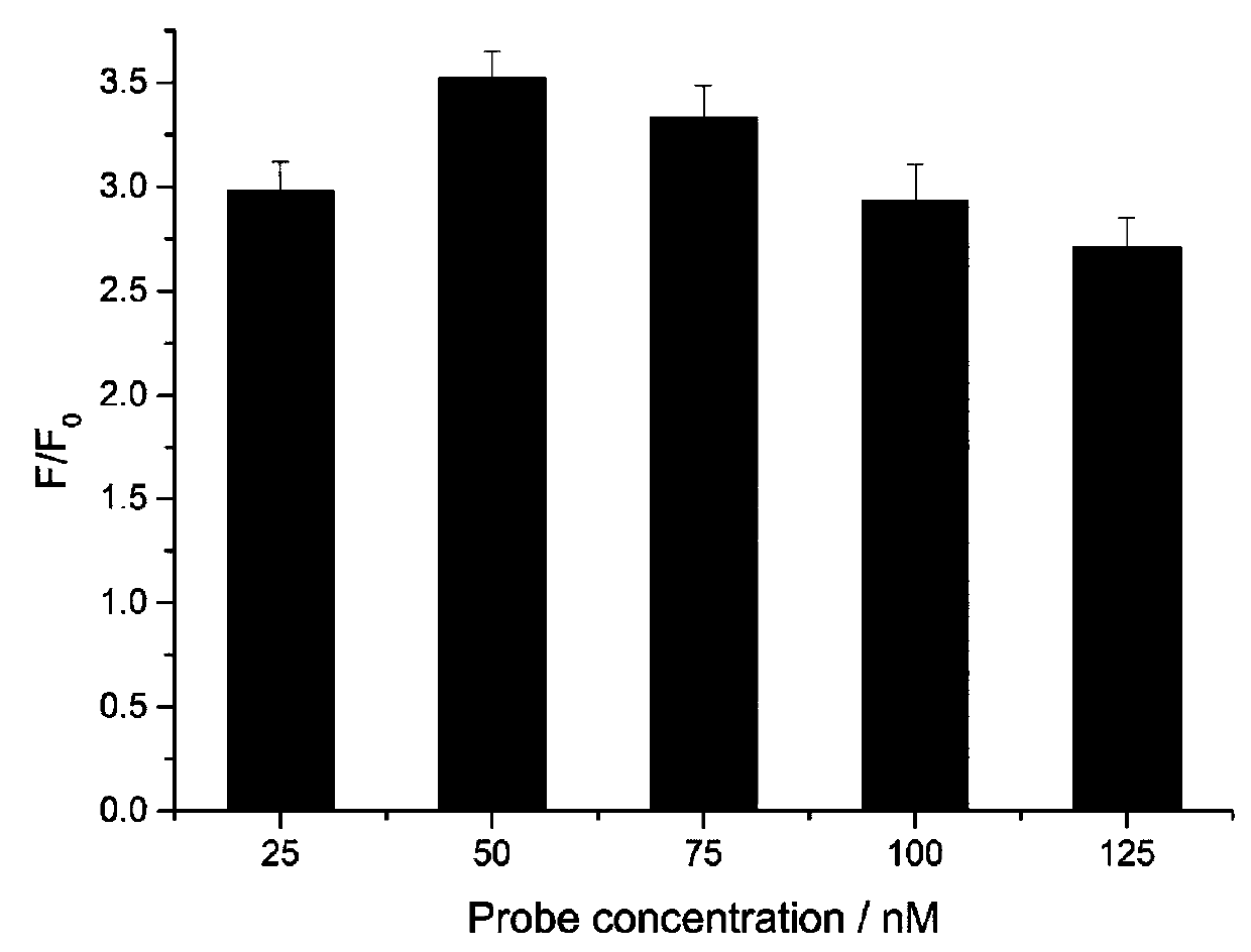 miRNA detection fluorescent biological probe and detection method and application thereof