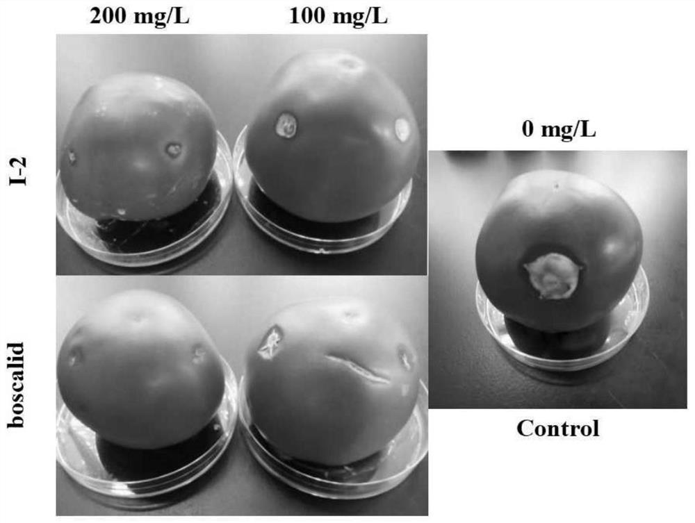 4-(1H-pyrazol-1-yl) biphenyl formamide compound containing diphenyl ether group and application thereof