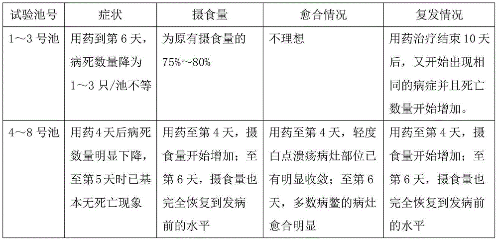 Chinese herba preparation for preventing and treating white-spot disease of Chinese softshell turtle and preparation method thereof
