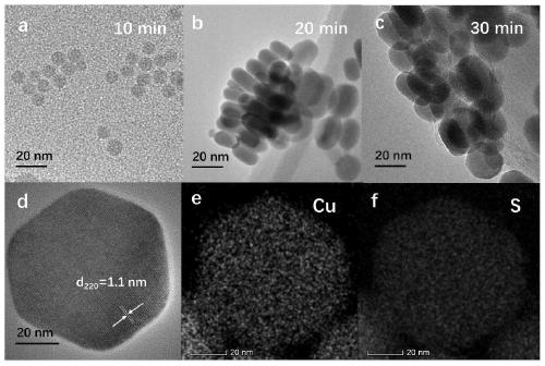 Cuprous sulfide nano material for electrochemical sensor and preparation method thereof