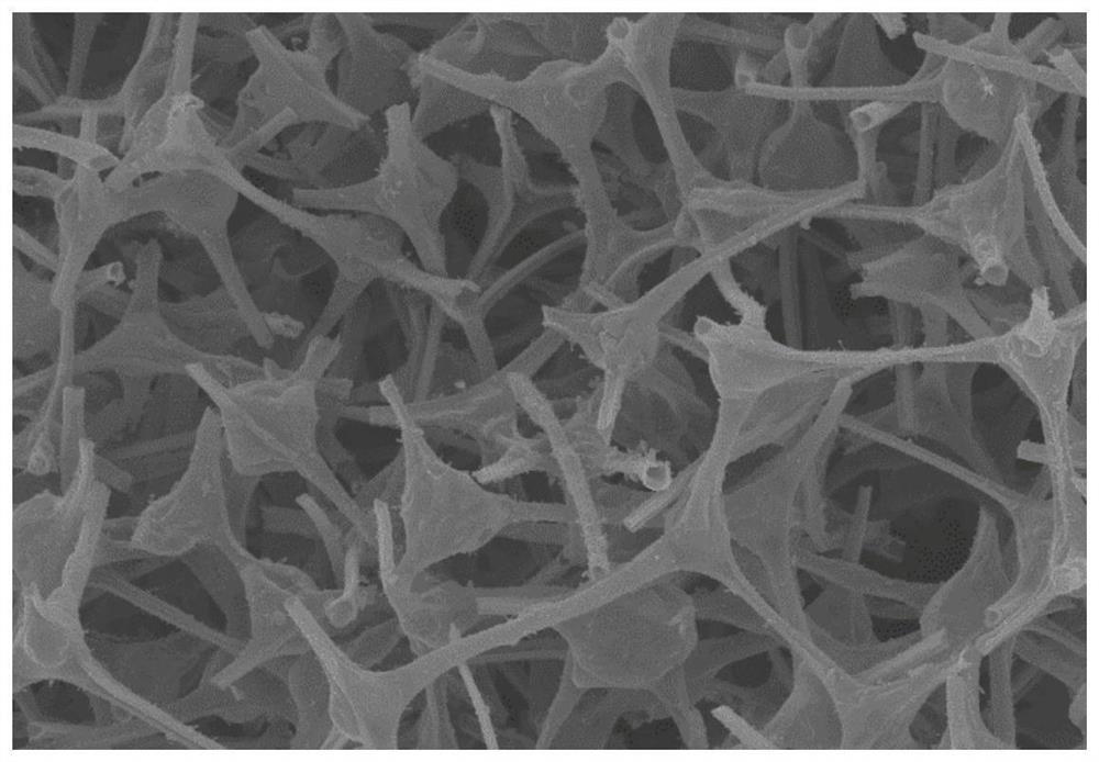 Preparation method and application of MXene-based inorganic particle/PVDF-based polymer composite diaphragm