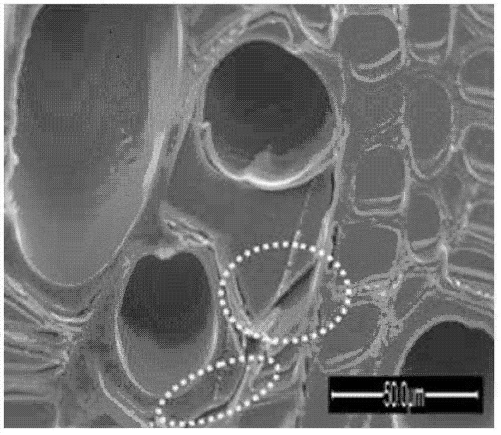 Preparation method of wood-organic-inorganic hybridized nano composite material based on doped nano POSS (Polyhedral Oligomeric Silsesquioxane)