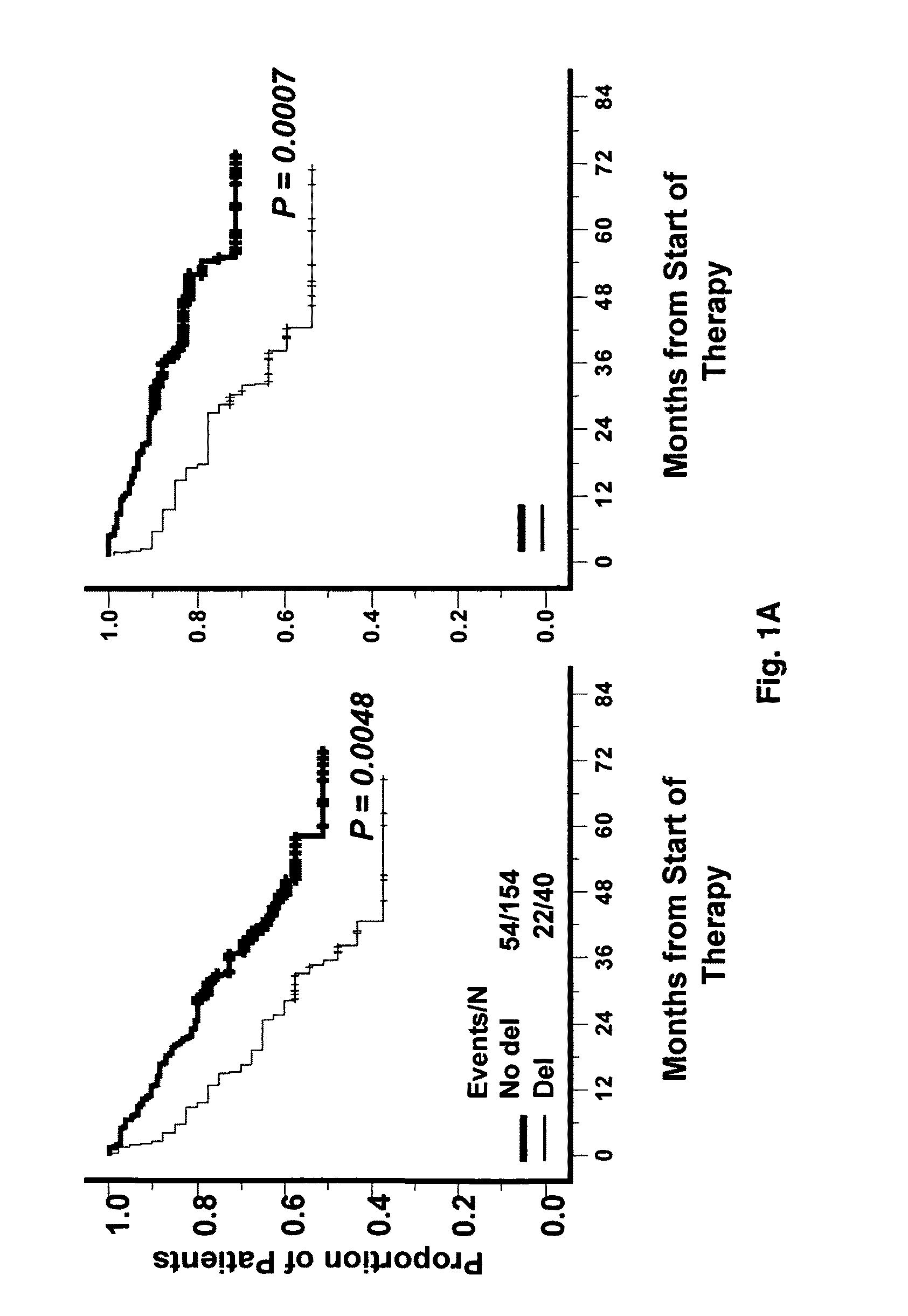 TP53 Gene expression and uses thereof