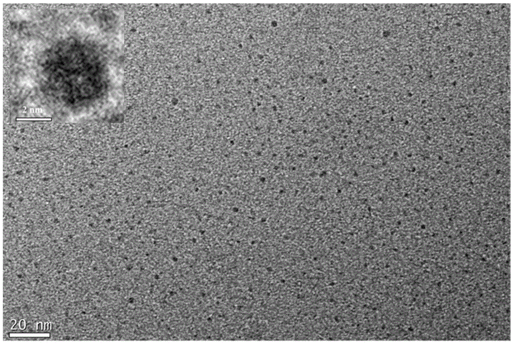 A kind of fluorescent carbon nanoparticle and its preparation method and application