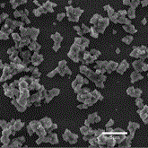 Technology for preparing boehmite microcrystal powder only through adjusting pressure