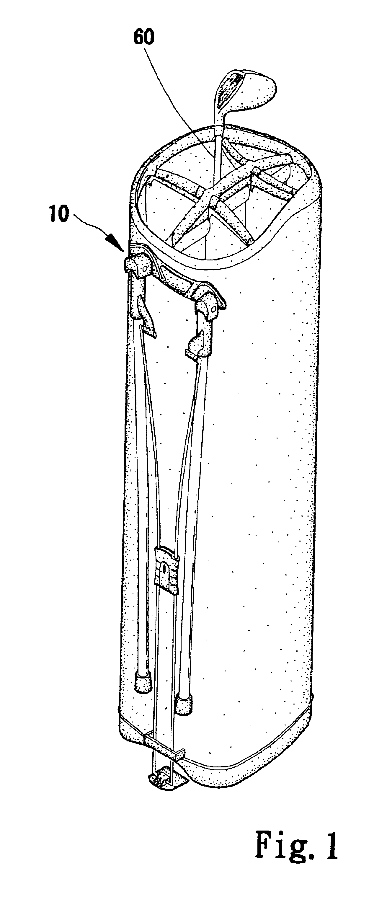 Apparatus for carrying golf clubs