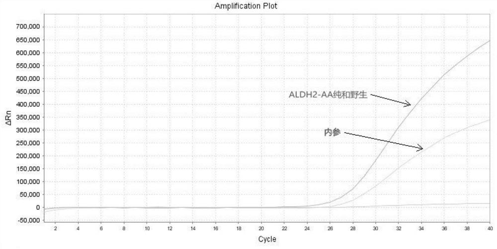 A gene detection kit free from nucleic acid purification