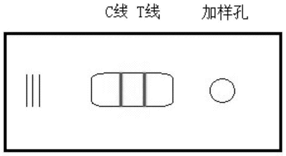 A kind of colloidal gold test strip, kit and detection method for rapid detection of canine parvovirus antibody hemagglutination inhibition titer