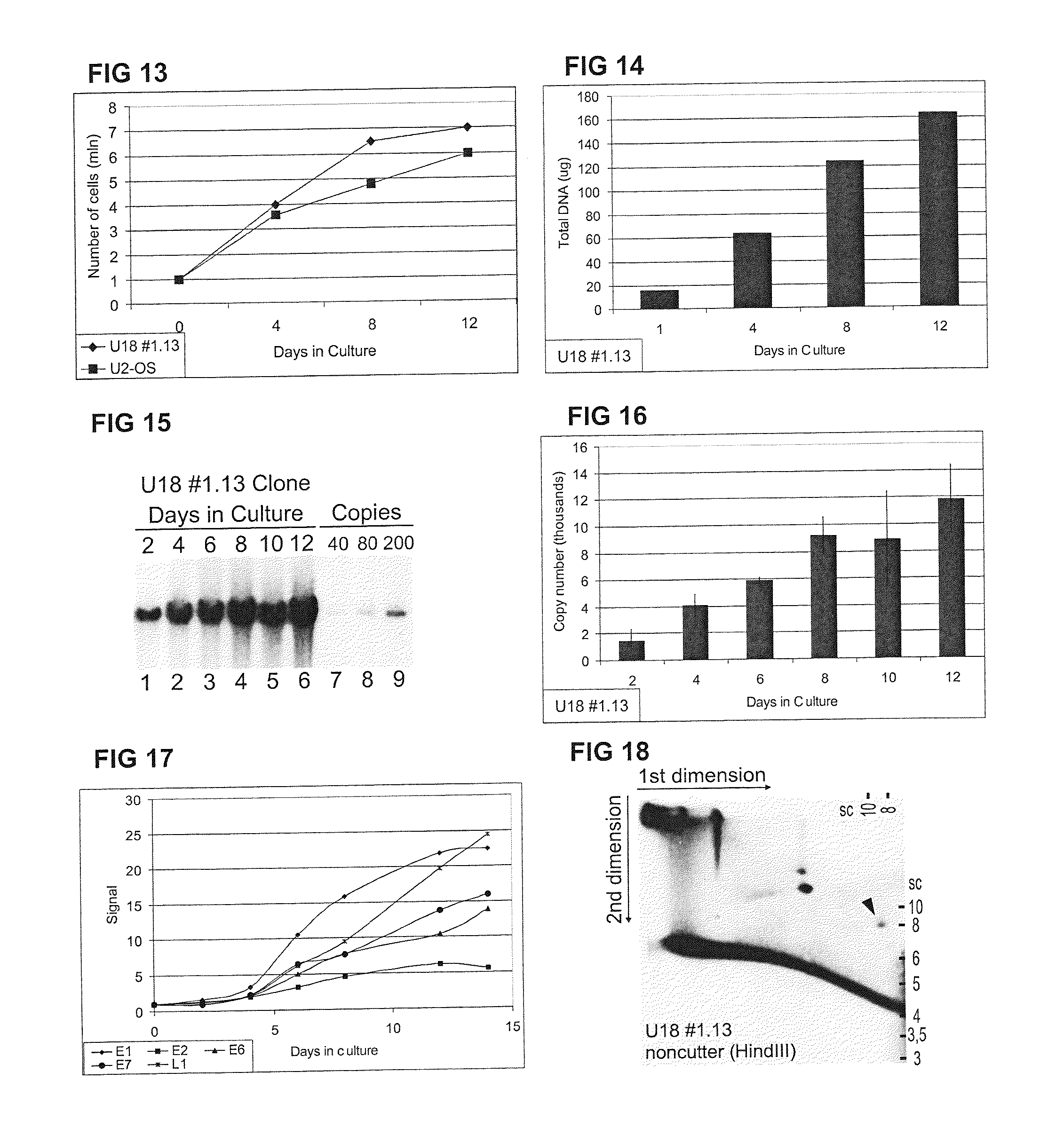 Method and Kit for Identifying Compounds Capable of Inhibiting Human Papilloma Virus Replication