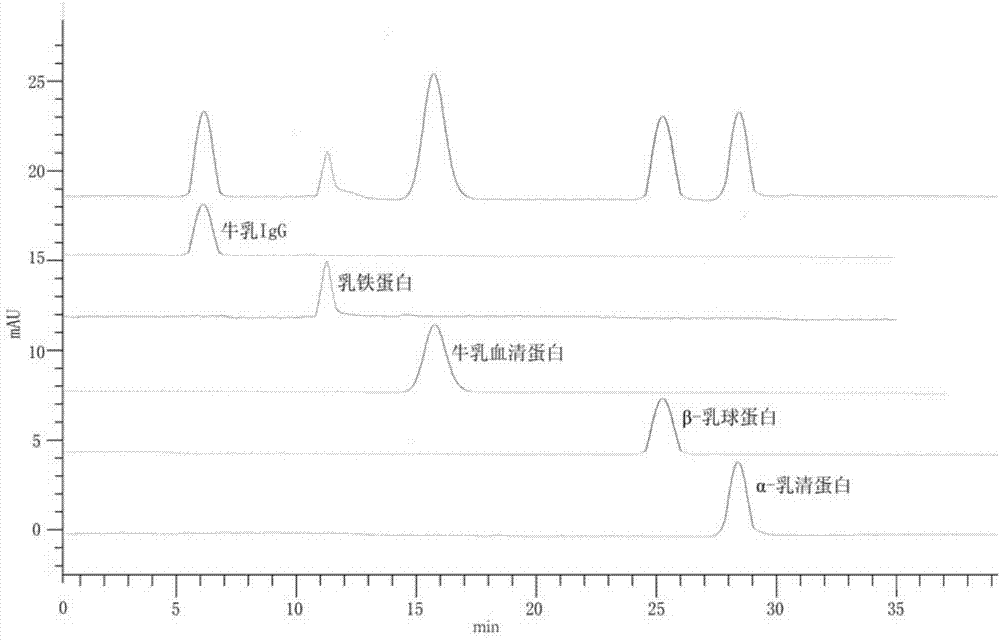 Fast separation and detection method for whey protein components in dairy product