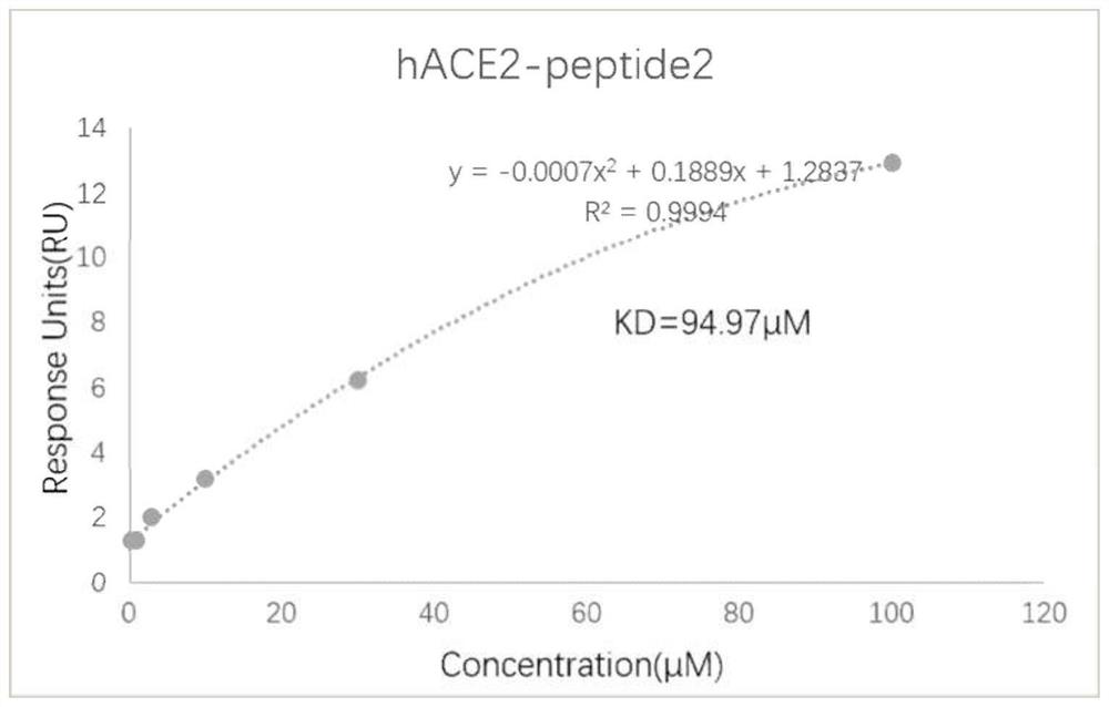 Polypeptide disinfectant composition for preventing coronavirus