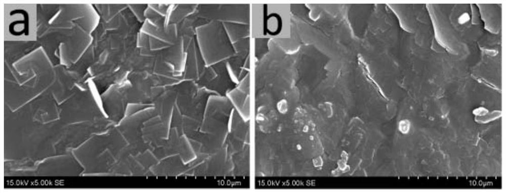 A clinically shapeable magnesium silicate/polyamino acid composite material and its use in preparing bone repair materials