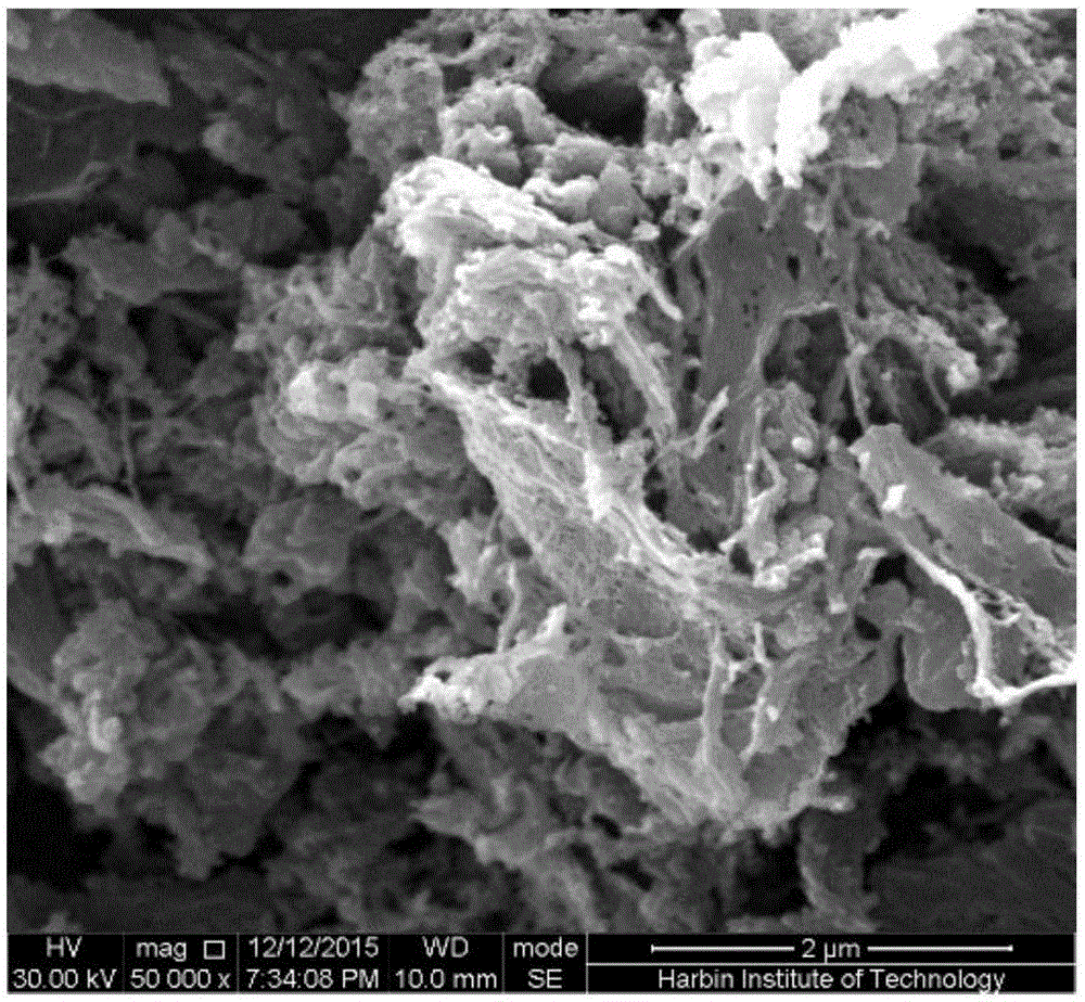 Preparation method and application of nitrogen-doped carbon fiber/nitrogen-doped graphene/bacterial cellulose membrane material