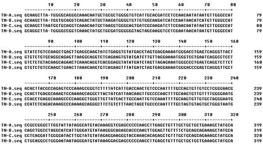Universal RT-PCR (Reverse Transcription Polymerase Chain Reaction) detection primer and detection method for avian pneumovirus