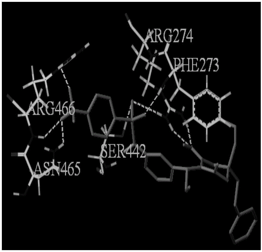 Application of Tipranavir in anti-cancer drug and anti-cancer drug