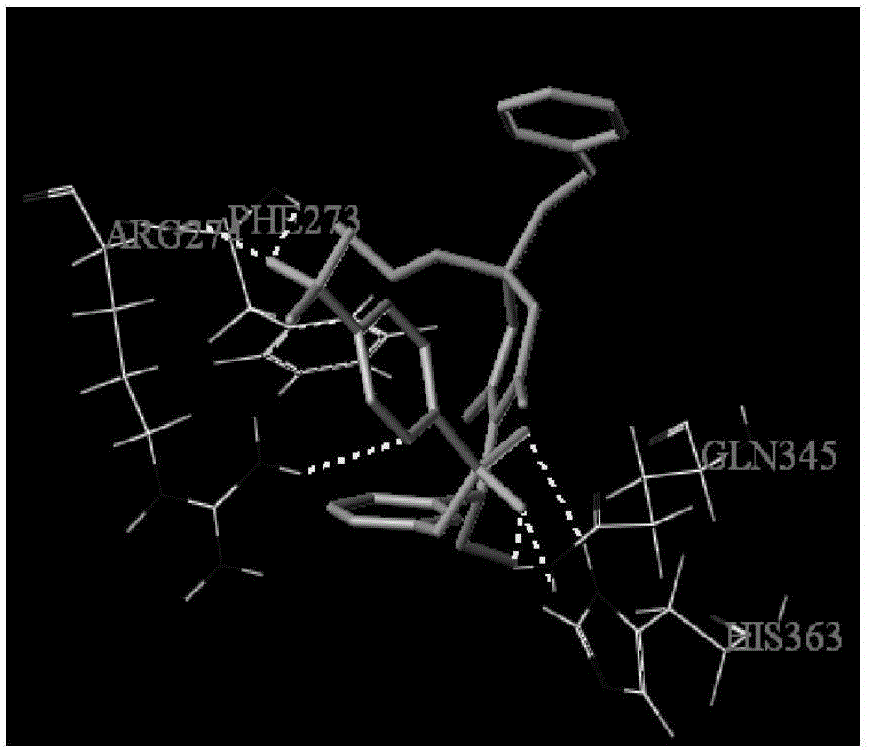 Application of Tipranavir in anti-cancer drug and anti-cancer drug