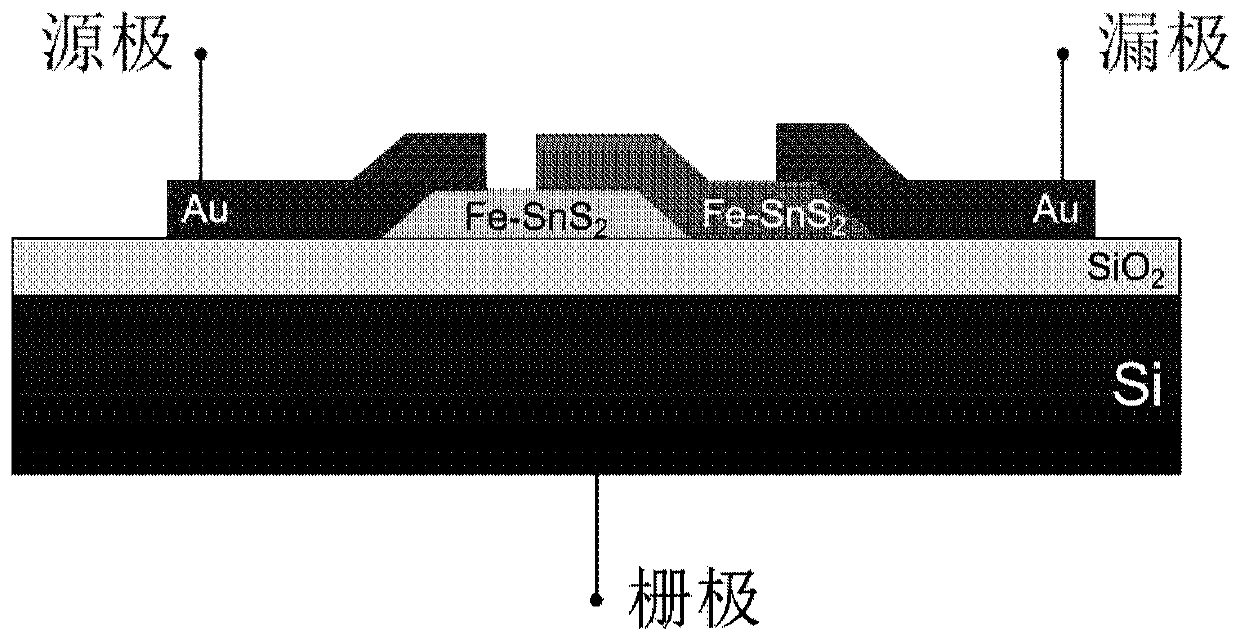 Homojunction magnetoresistive device of magnetic two-dimensional semiconductor and preparation method and application thereof