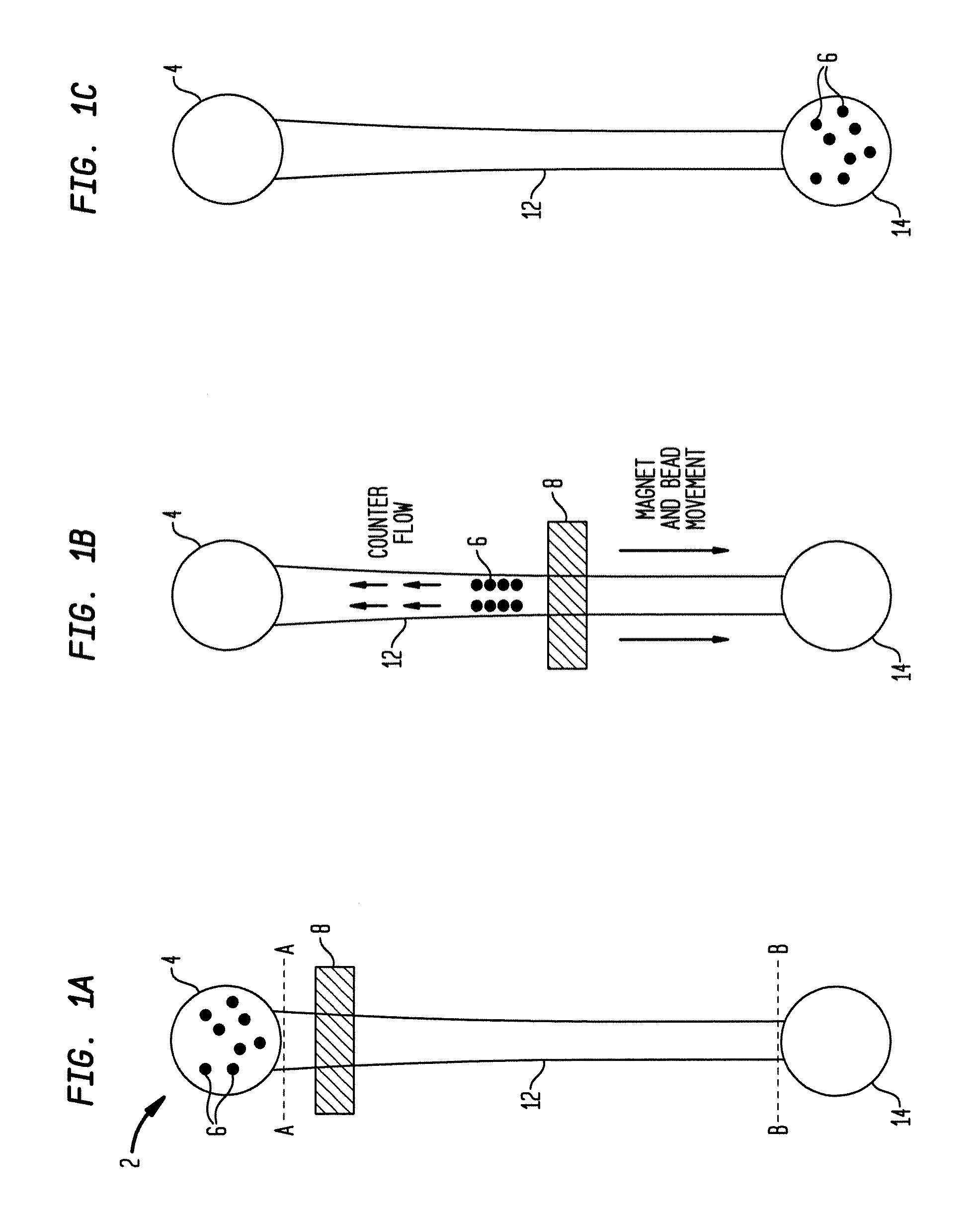 Magnetic bead separation apparatus and method